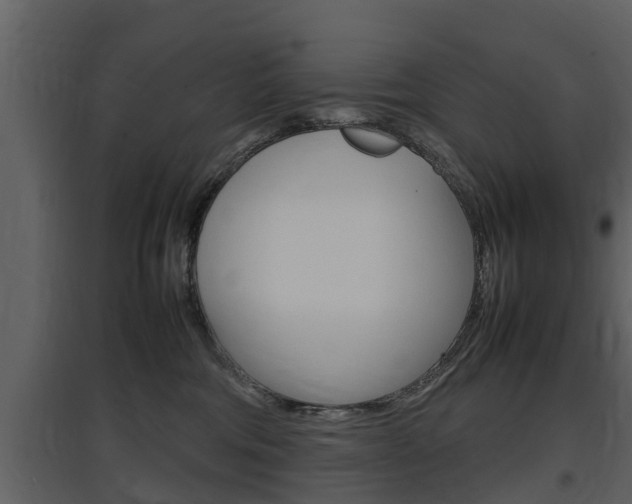 X0000097840330200803140840
