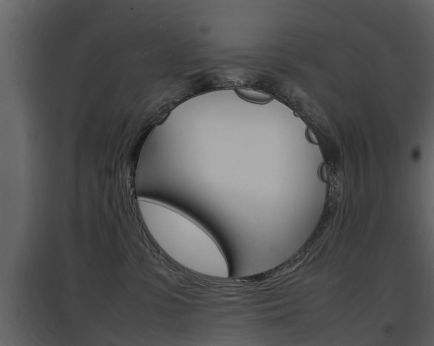X0000097840331200803140840