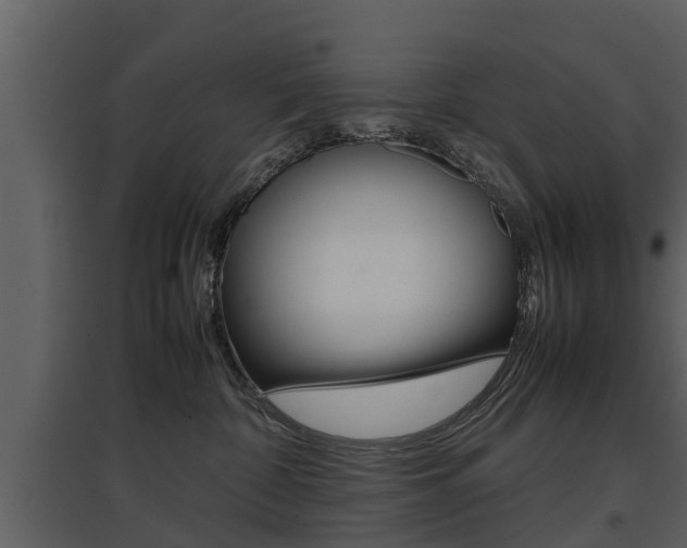 X0000097840332200803140840