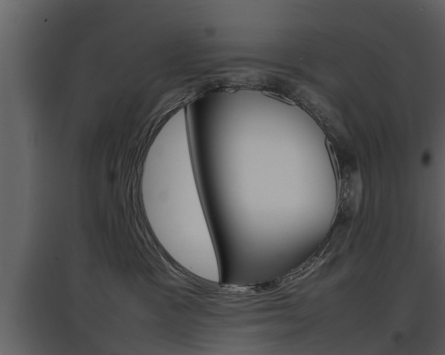 X0000097840333200803140840
