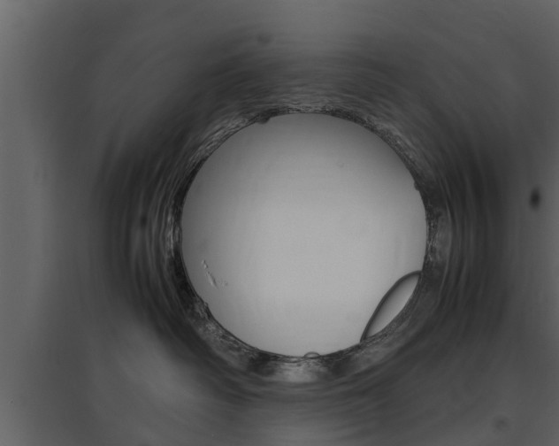 X0000097840334200803140840