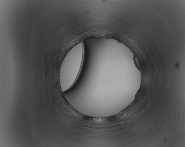 X0000097840335200803140840
