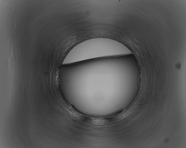 X0000097840336200803140840