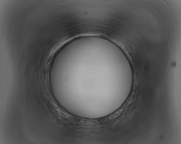 X0000097840337200803140839
