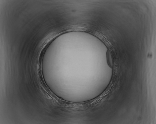 X0000097840338200803140839