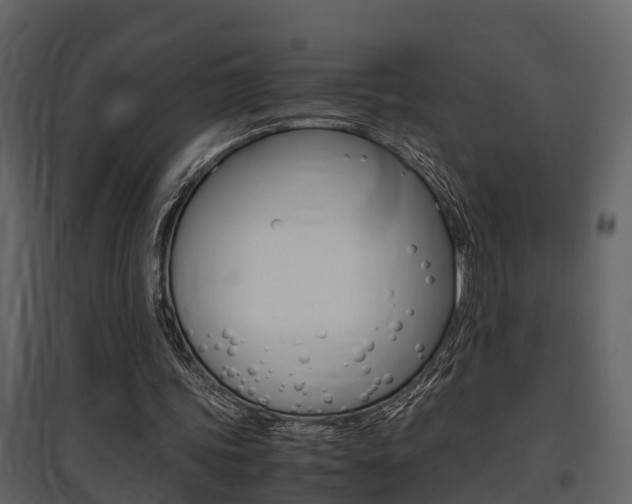 X0000097840339200803140839