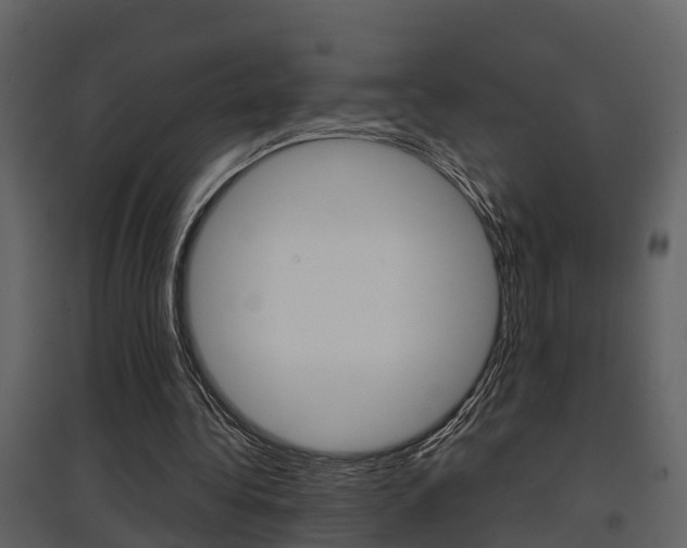 X0000097840340200803140839
