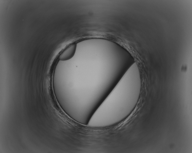 X0000097840342200803140839