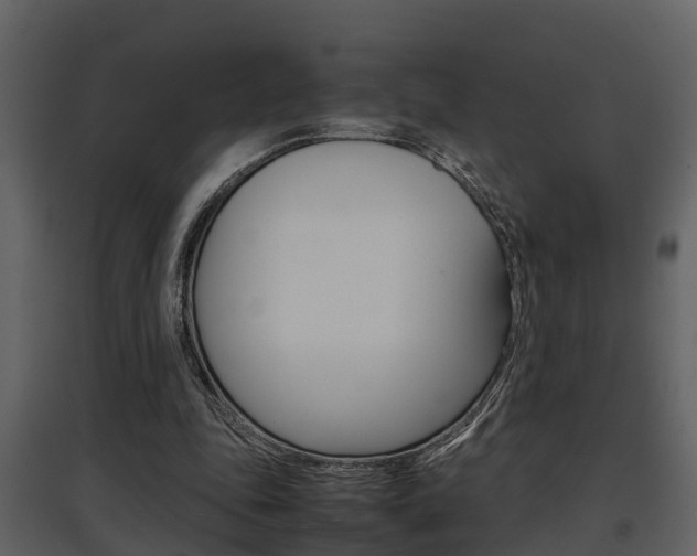 X0000097840343200803140839