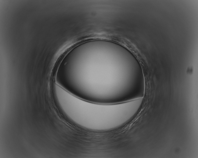 X0000097840344200803140839