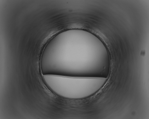 X0000097840345200803140839
