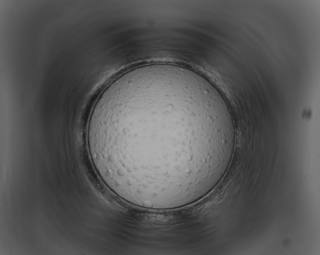 X0000097840347200803140839