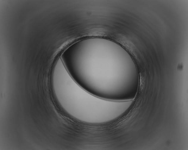 X0000097840348200803140839