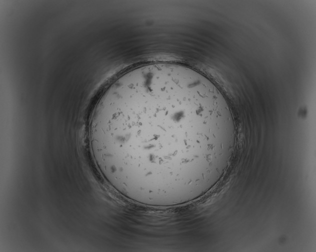 X0000097840351200803140839