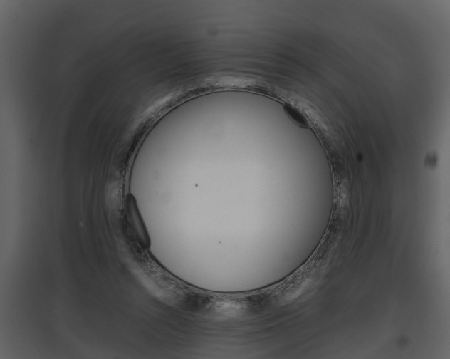 X0000097840352200803140839