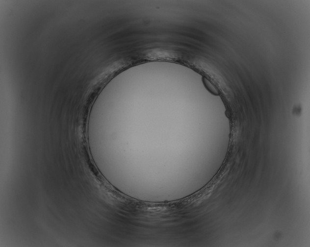 X0000097840353200803140839