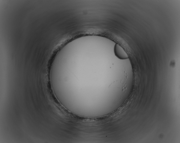 X0000097840354200803140839