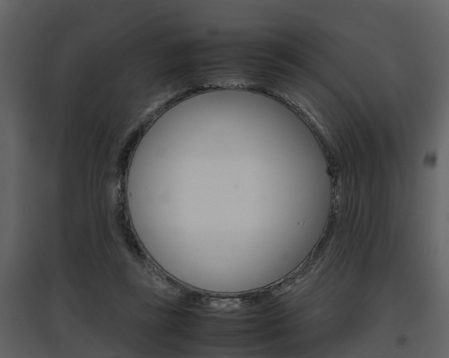 X0000097840355200803140839