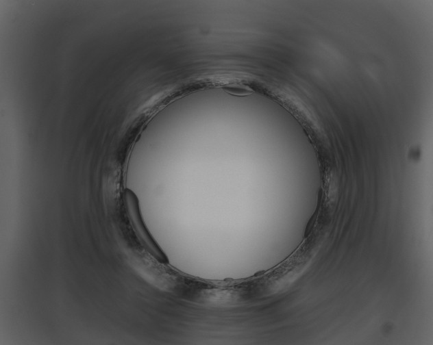 X0000097840356200803140839