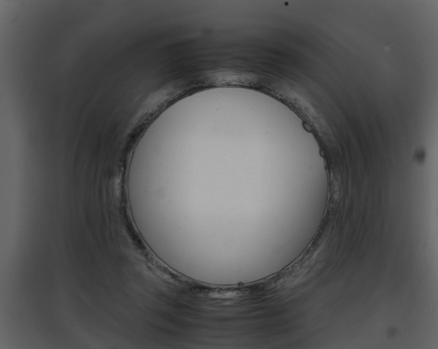 X0000097840357200803140839