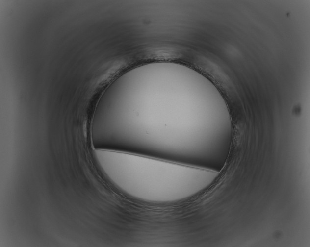 X0000097840358200803140839