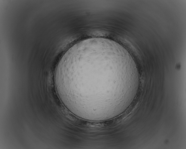X0000097840359200803140839