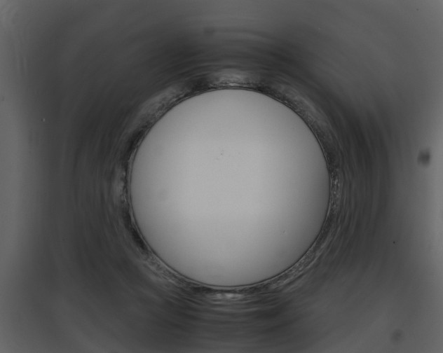 X0000097840361200803140839