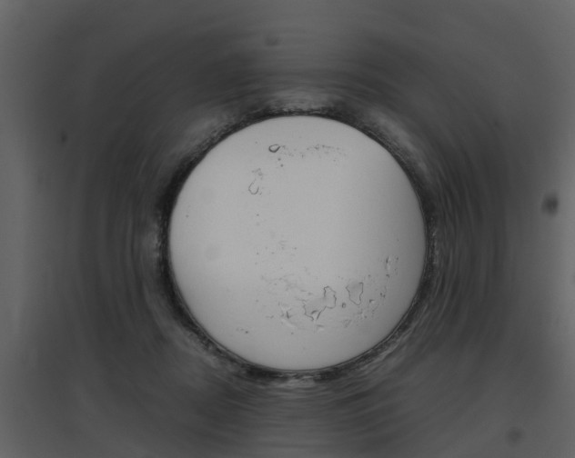 X0000097840362200803140839