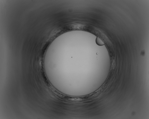 X0000097840363200803140840