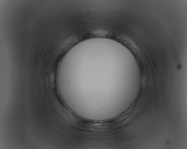 X0000097840365200803140840
