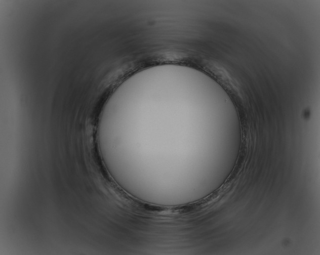 X0000097840366200803140840