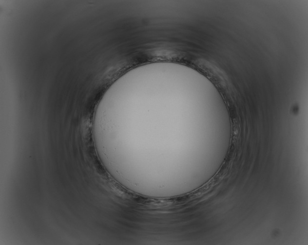 X0000097840369200803140840