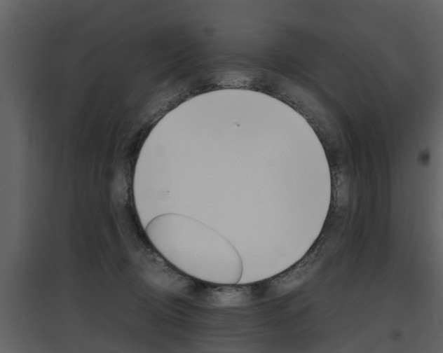 X0000097840370200803140840