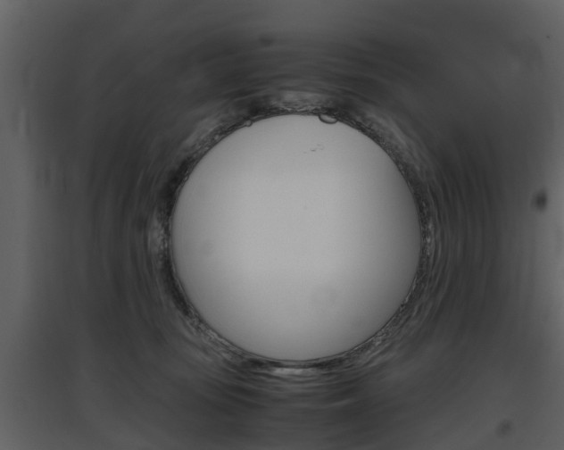 X0000097840371200803140840