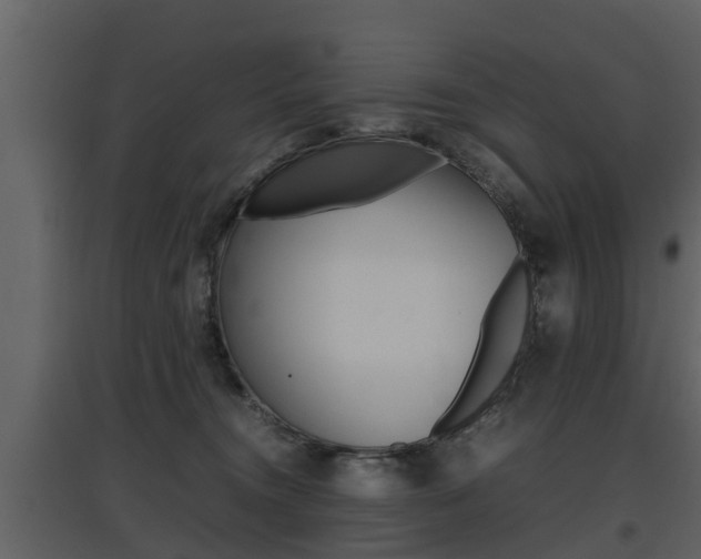 X0000097840372200803140840