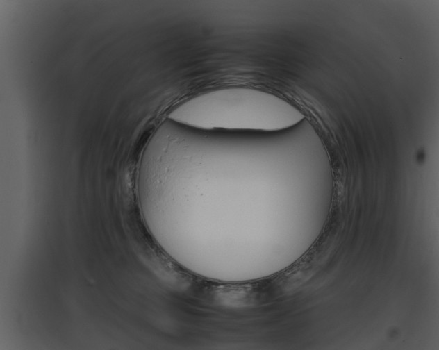 X0000097840373200803140840