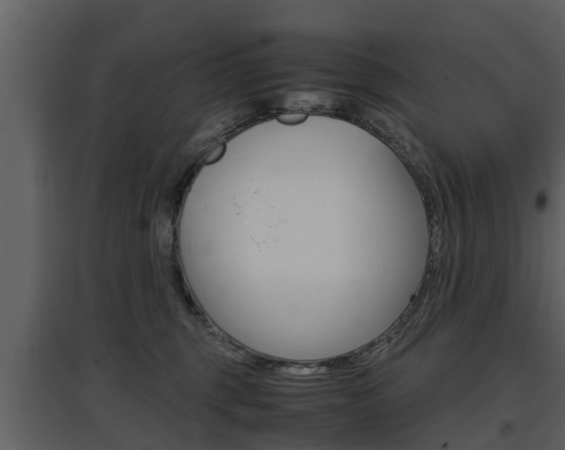 X0000097840375200803140840