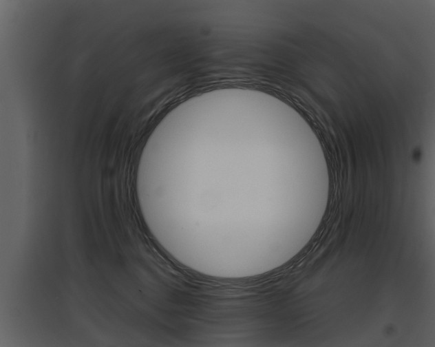 X0000097840376200803140840