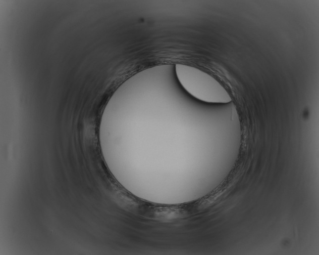 X0000097840377200803140840
