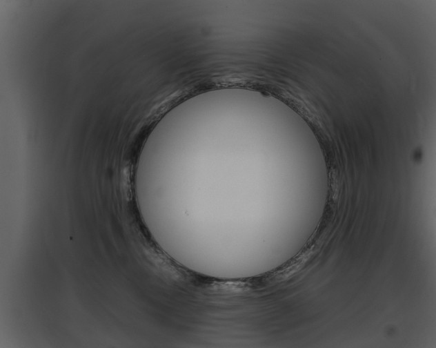 X0000097840378200803140840