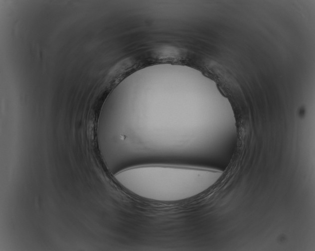 X0000097840379200803140840