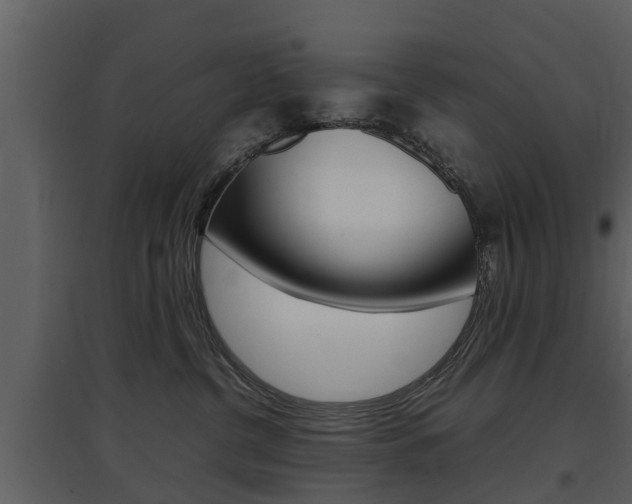 X0000097840380200803140840