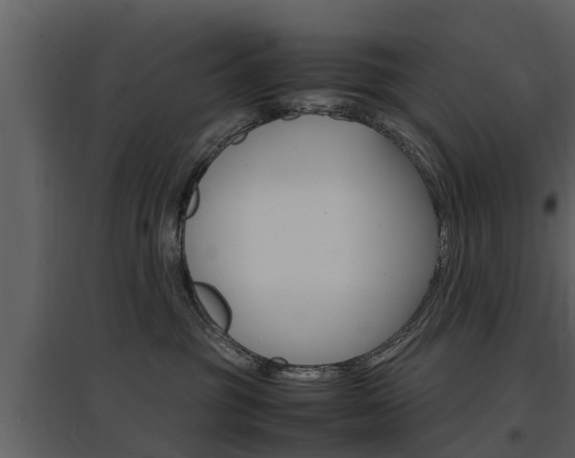 X0000097840381200803140840