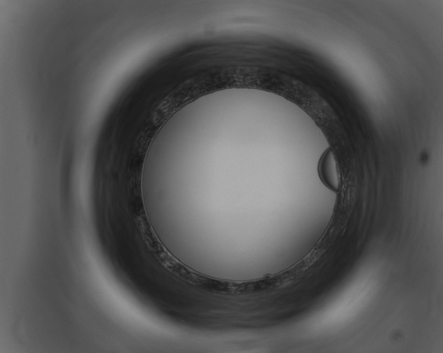 X0000097840383200803140840