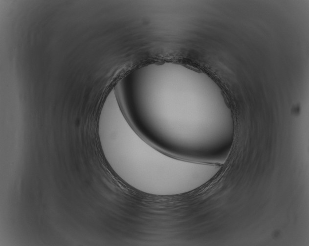 X0000097840384200803140840