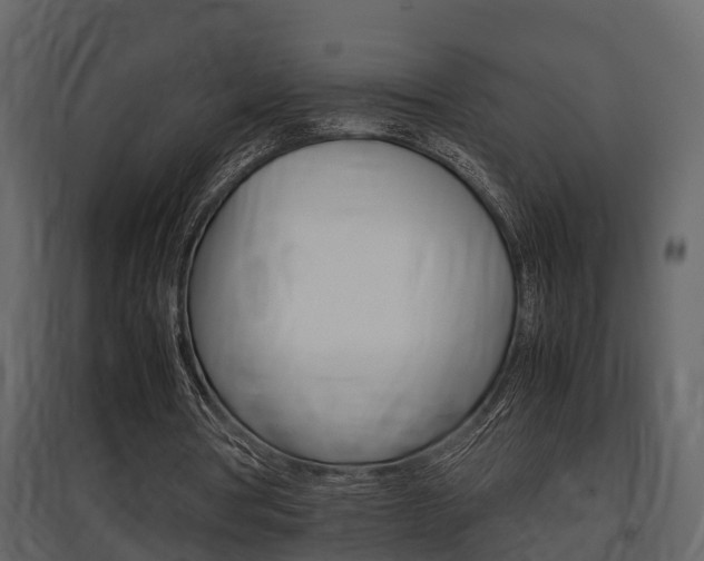 X0000097840386200803140839