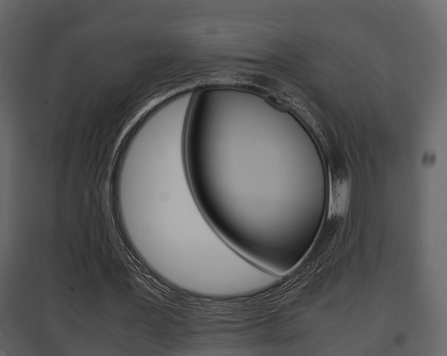 X0000097840387200803140839
