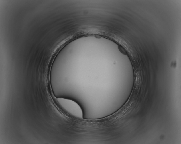 X0000097840390200803140839
