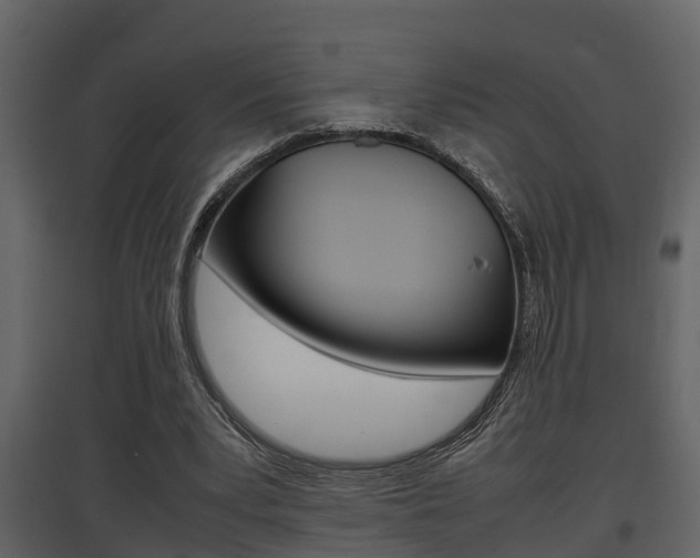 X0000097840391200803140839