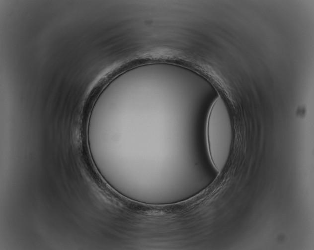 X0000097840392200803140839